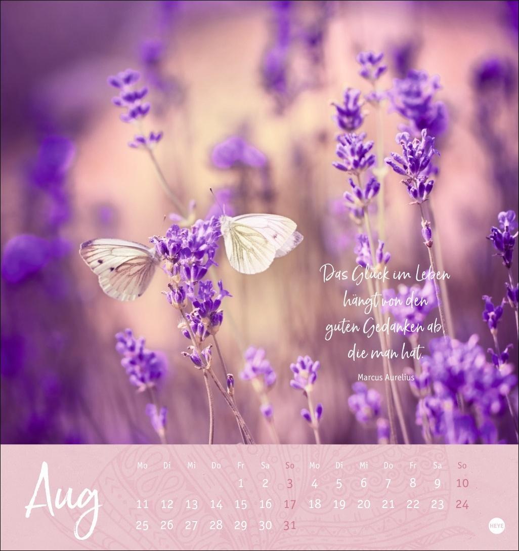 Bild: 9783756406920 | Tage voller Glück Postkartenkalender 2025 | Heye | Kalender | 13 S.