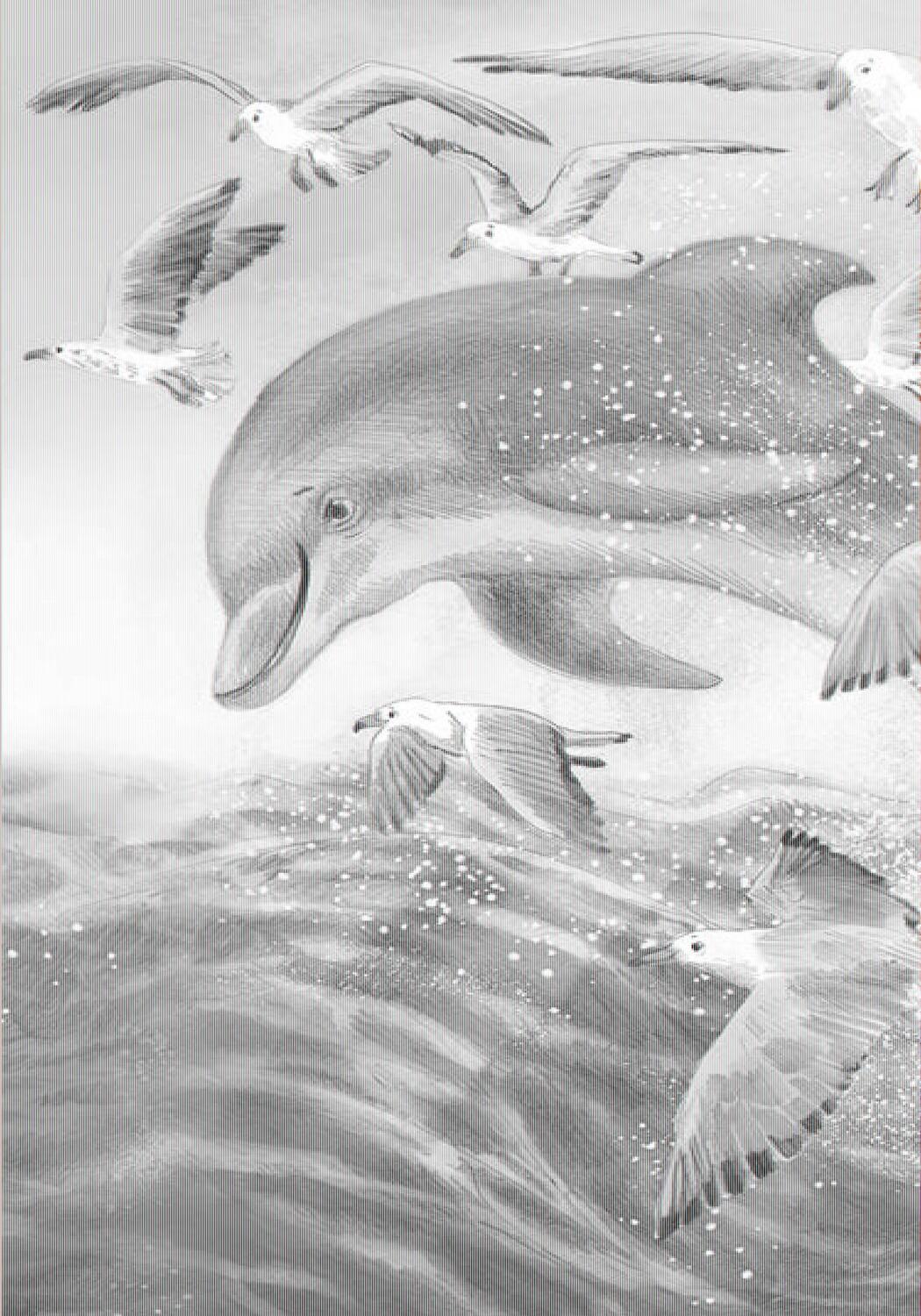 Bild: 9783961850426 | Wunderwelt der Tiere im Meer | Mit Geschichten wachsen | Chae Strathie