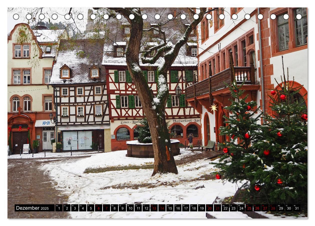 Bild: 9783383956294 | Weinheim - Stadt unter den zwei Burgen (Tischkalender 2025 DIN A5...