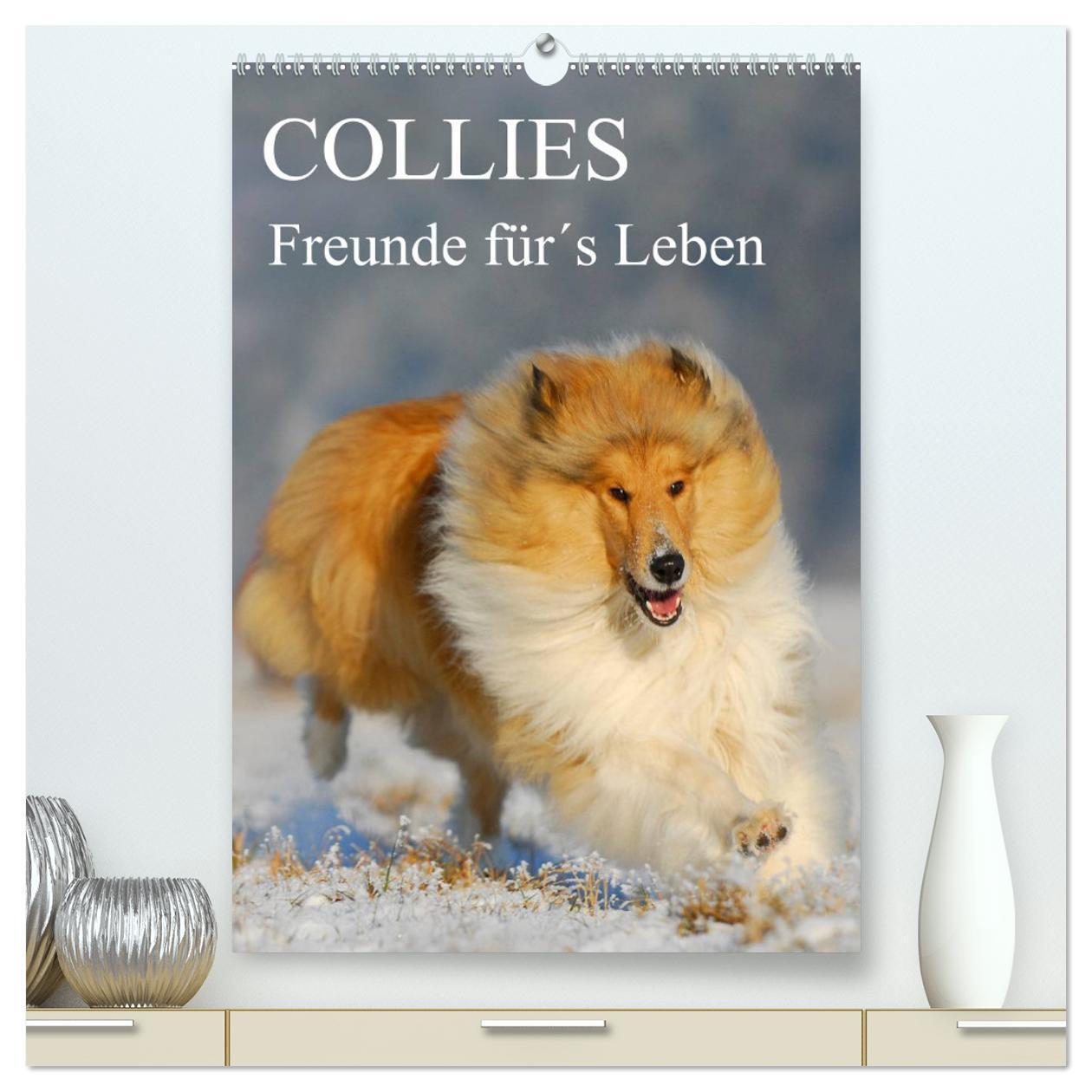 Cover: 9783383351396 | Collies - Freunde für´s Leben (hochwertiger Premium Wandkalender...