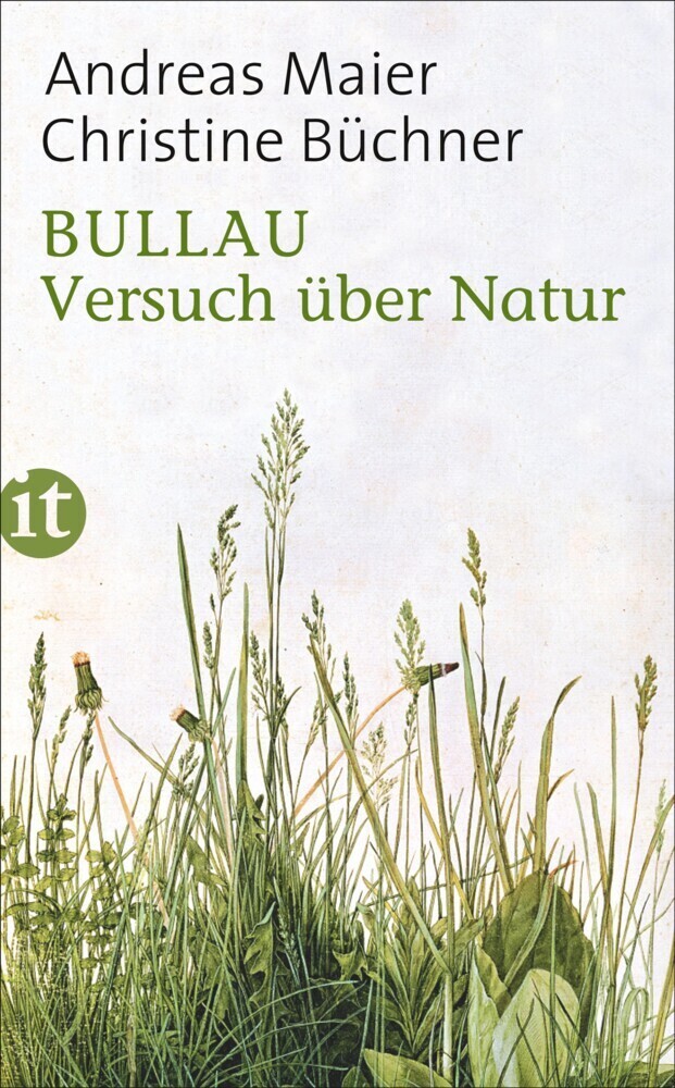 Cover: 9783458362814 | Bullau | Versuch über Natur | Andreas Maier (u. a.) | Taschenbuch