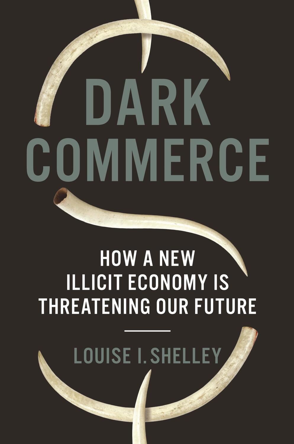 Cover: 9780691209760 | Dark Commerce | How a New Illicit Economy Is Threatening Our Future