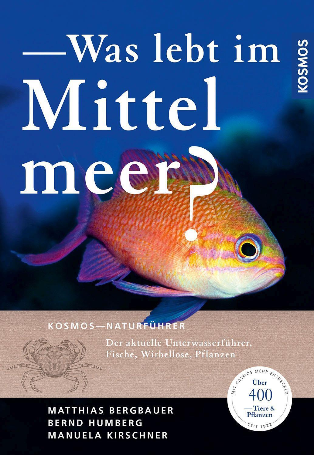 Cover: 9783440176030 | Was lebt im Mittelmeer? | Matthias Bergbauer (u. a.) | Taschenbuch