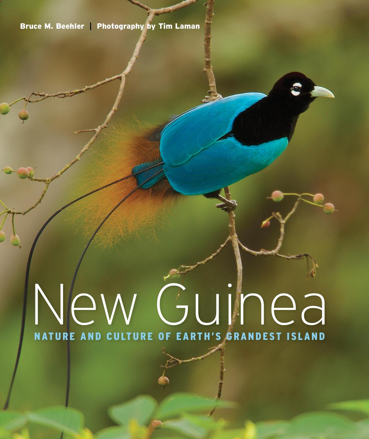 Cover: 9780691180304 | New Guinea | Nature and Culture of Earth's Grandest Island | Buch