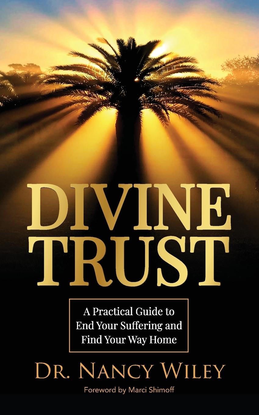 Cover: 9781737543404 | Divine Trust | Nancy Wiley | Taschenbuch | Englisch | 2022