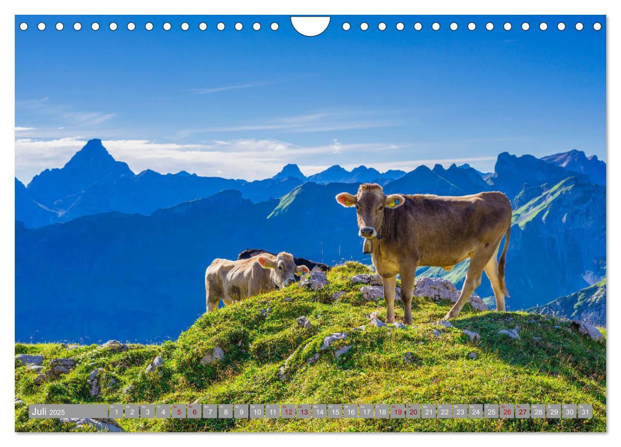 Bild: 9783435399765 | Allgäu-Idylle (Wandkalender 2025 DIN A4 quer), CALVENDO Monatskalender