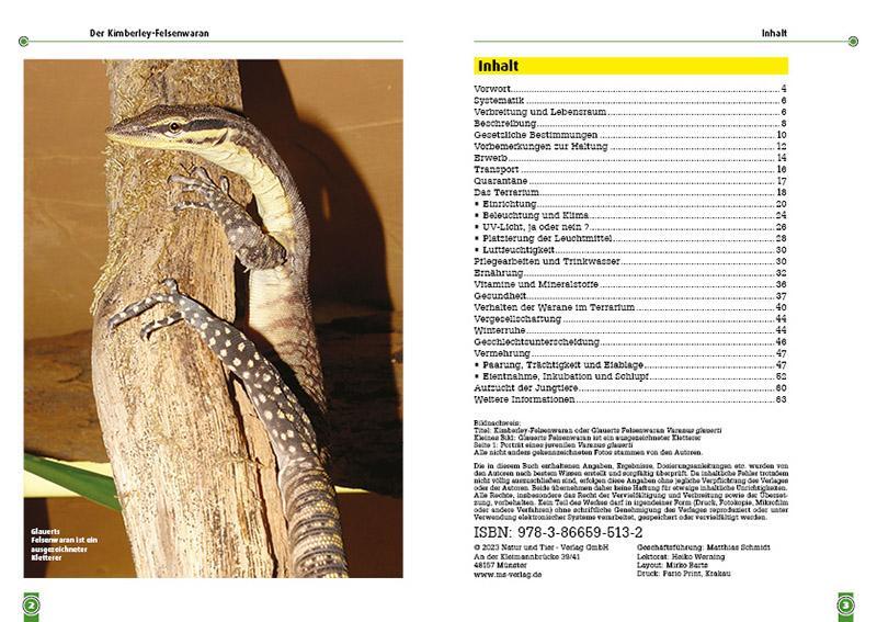 Bild: 9783866595132 | Glauerts Felsenwaran | Varanus glauerti | Michael Evers | Taschenbuch