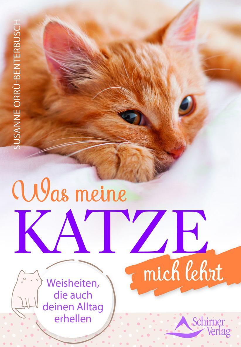 Cover: 9783843451758 | Was meine Katze mich lehrt | Susanne Orrù-Benterbusch | Taschenbuch