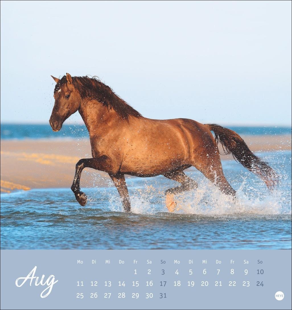 Bild: 9783756407040 | Pferde Postkartenkalender 2025 - Starke Freunde | Kalender | 13 S.