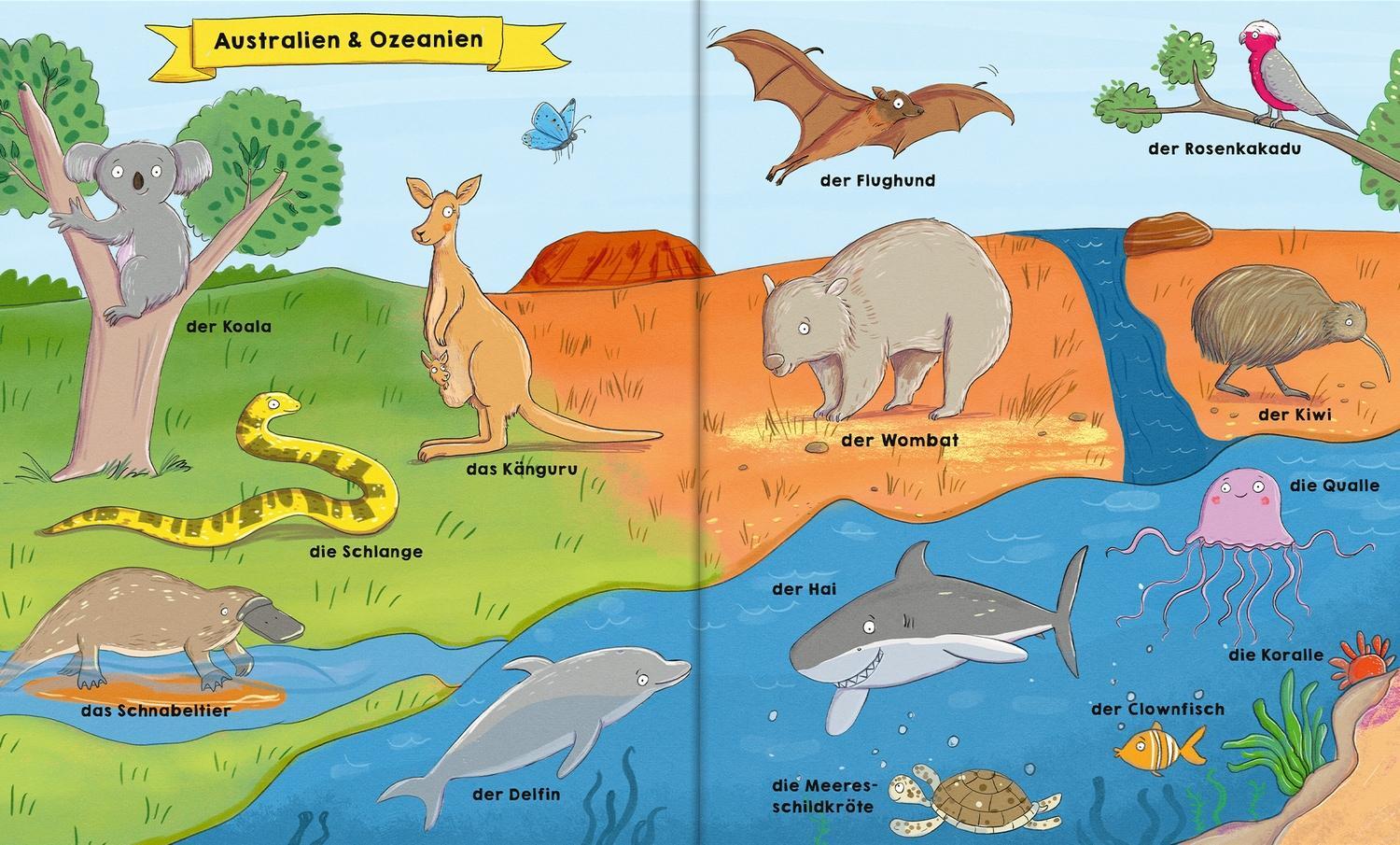 Bild: 9783751201766 | Affe, Bär und noch viel mehr. Mein Bildwörterbuch mit Tieren aus...