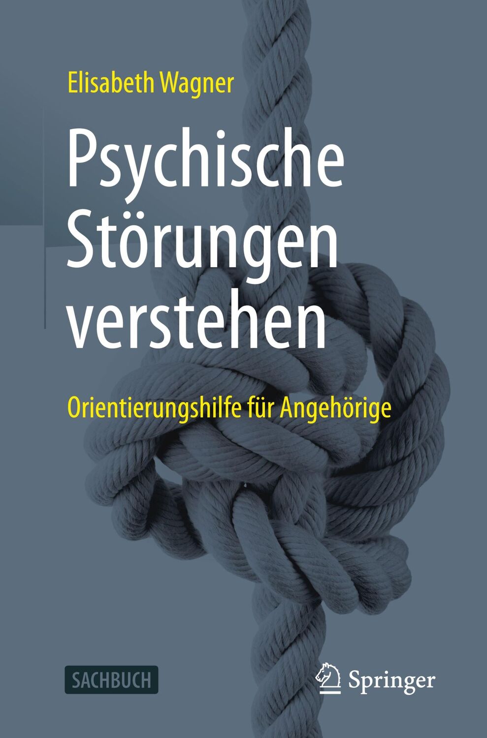 Cover: 9783662631553 | Psychische Störungen verstehen | Orientierungshilfe für Angehörige