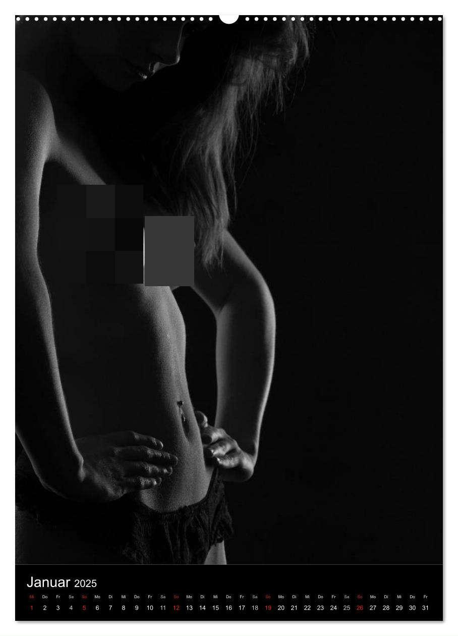 Bild: 9783457087213 | Erotische Silhouetten (Wandkalender 2025 DIN A2 hoch), CALVENDO...