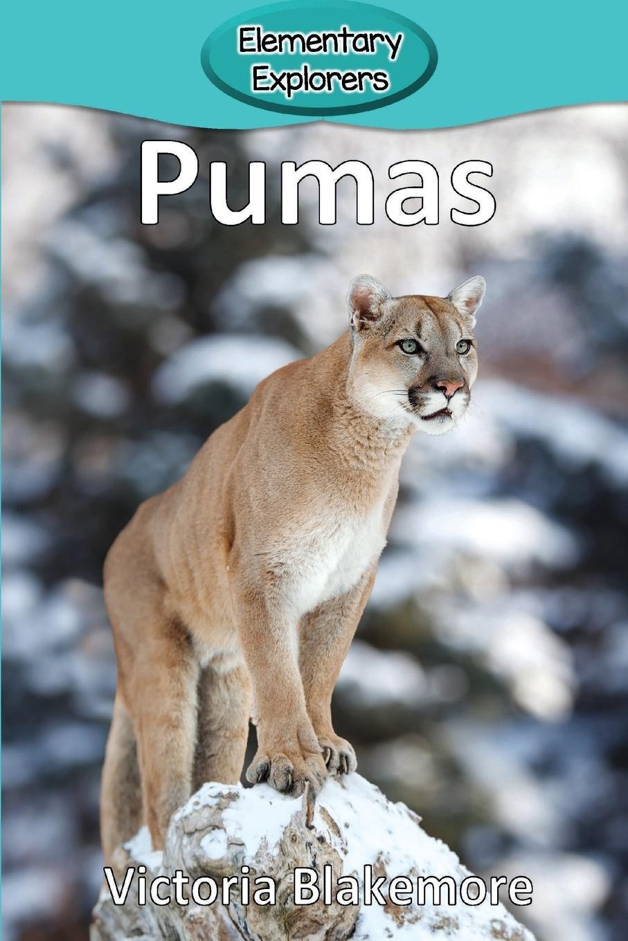 Cover: 9781948388542 | Pumas | Victoria Blakemore | Taschenbuch | Elementary Explorers | 2018