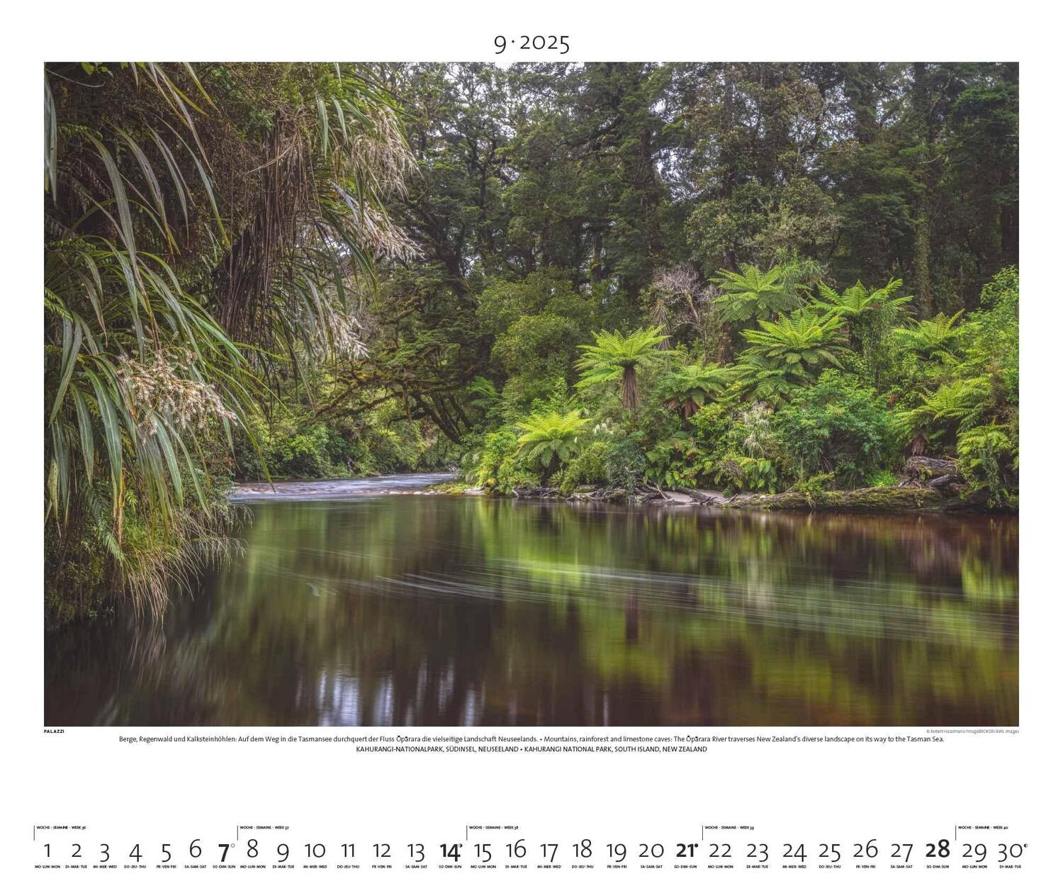 Bild: 4251734300768 | Regenwald 2025 - Bild-Kalender - Poster-Kalender - 60x50 | Rainforest