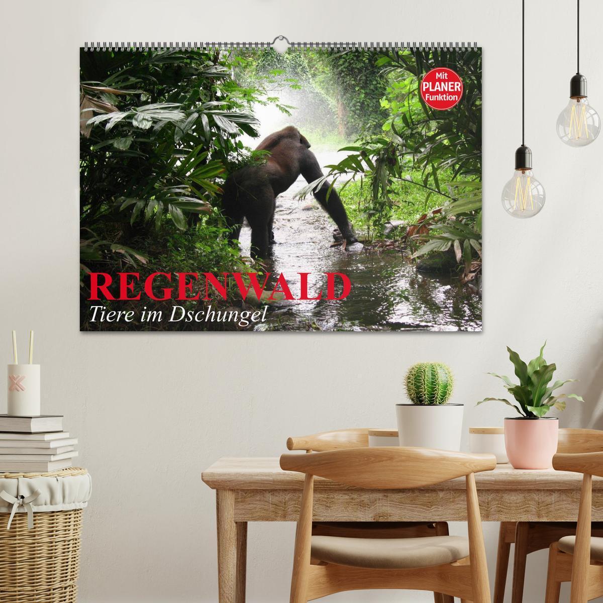 Bild: 9783435525652 | Regenwald. Tiere im Dschungel (Wandkalender 2025 DIN A2 quer),...