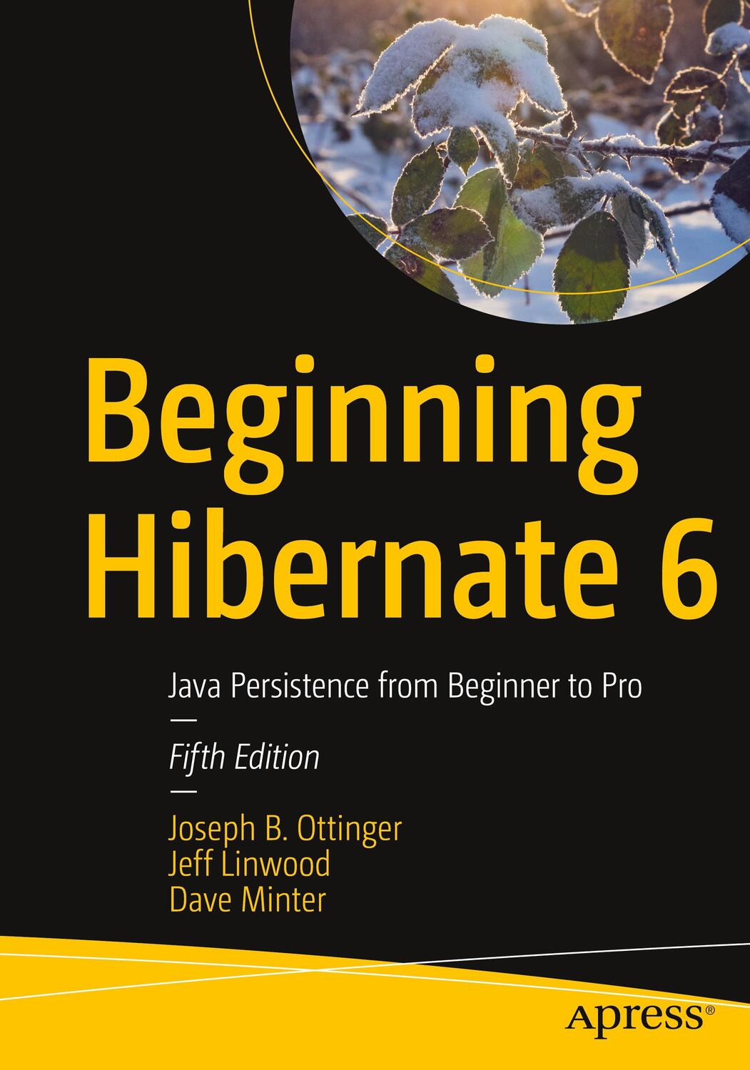 Cover: 9781484273364 | Beginning Hibernate 6 | Java Persistence from Beginner to Pro | Buch
