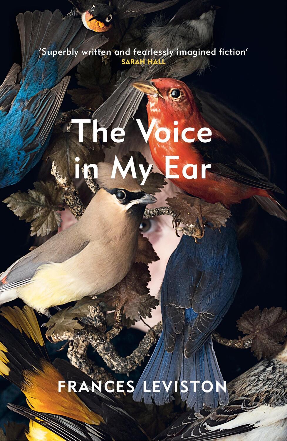 Cover: 9781529112054 | The Voice in My Ear | Frances Leviston | Taschenbuch | 272 S. | 2021