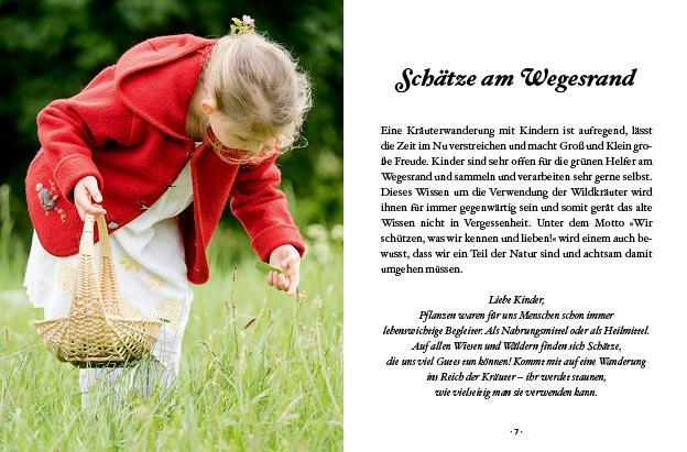 Bild: 9783710401978 | Das kleine Buch: Kräuterwanderung mit Kindern | Ines Scheiblhofer