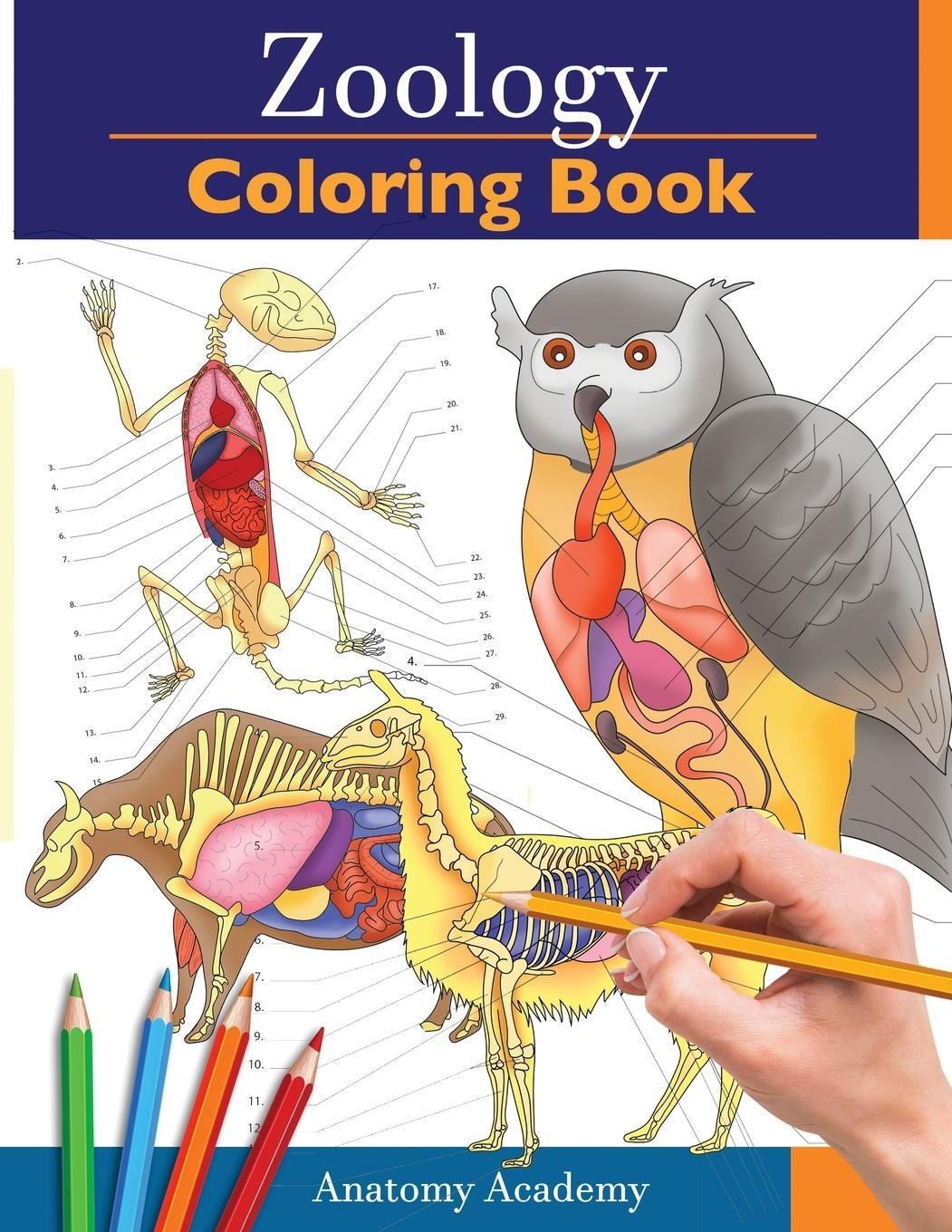 Cover: 9781914207099 | Zoology Coloring Book | Anatomy Academy | Taschenbuch | Paperback
