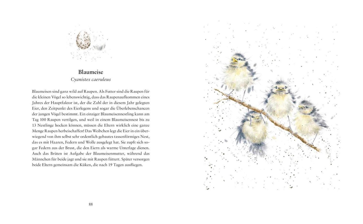 Bild: 9783737355261 | Flügge - Die ersten Tage kleiner Tierkinder | Hannah Dale | Buch