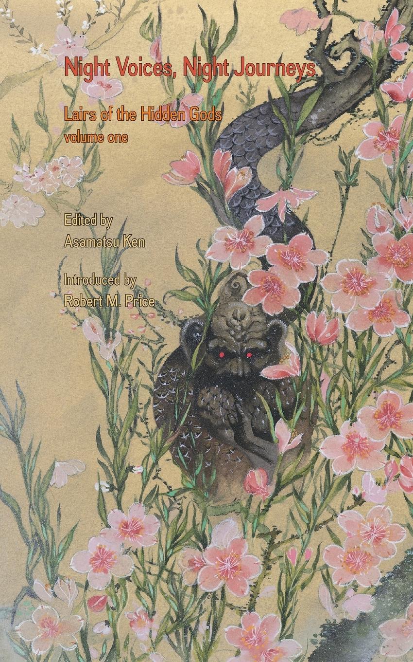 Cover: 9784902075113 | Night Voices, Night Journeys | Ken Asamatsu | Taschenbuch | Paperback