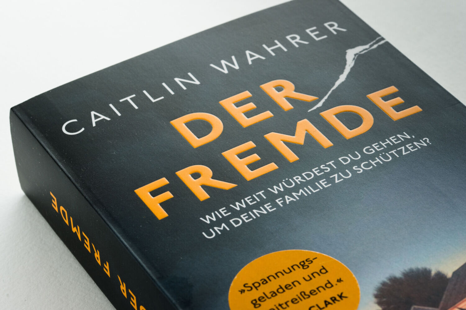 Bild: 9783453273467 | Der Fremde | Roman | Caitlin Wahrer | Taschenbuch | 464 S. | Deutsch