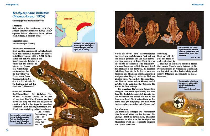 Bild: 9783866592384 | Krötenlaubfrösche | Die Gattung Trachycephalus | Sandra Honigs (u. a.)