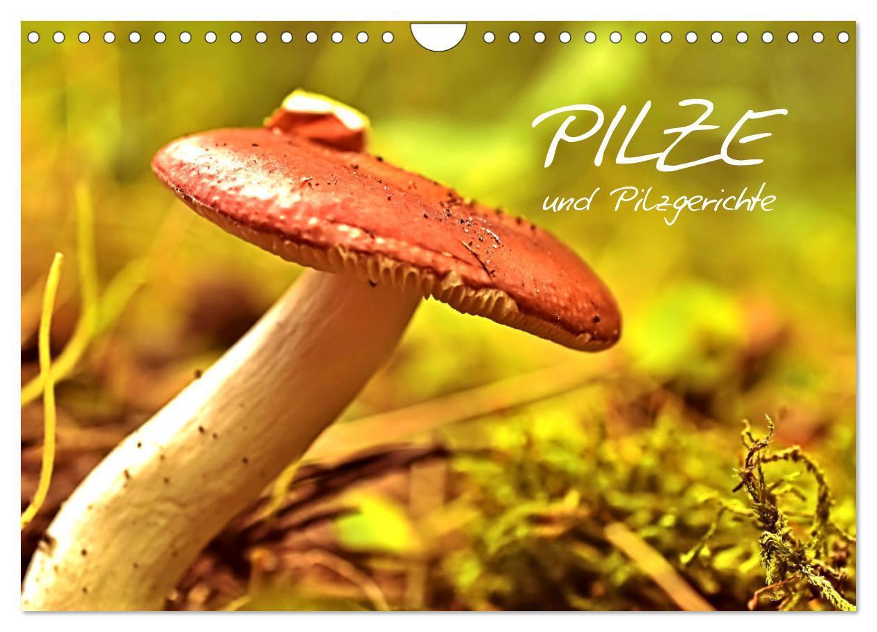Cover: 9783383286612 | Pilze und Pilzgerichte (Wandkalender 2024 DIN A4 quer), CALVENDO...