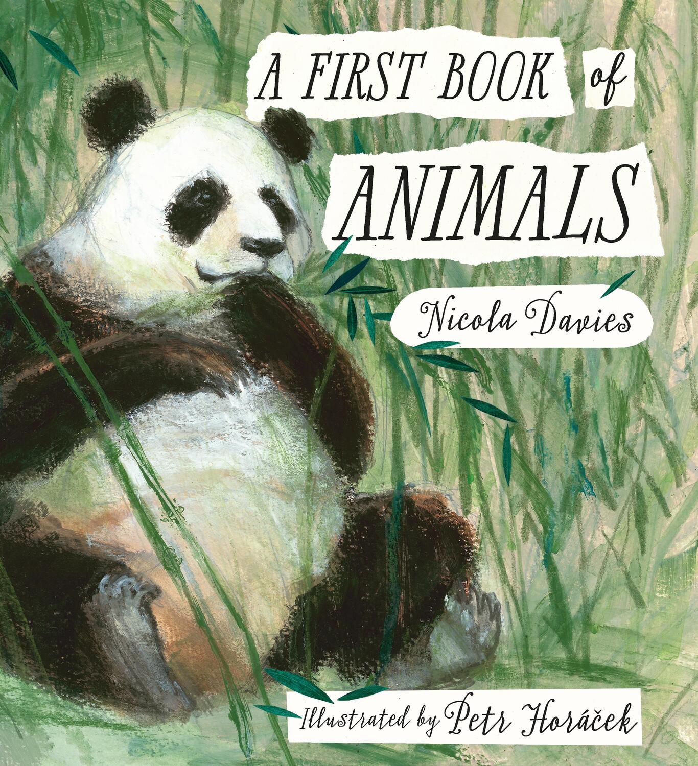 Cover: 9781406359633 | A First Book of Animals | Nicola Davies | Buch | 108 S. | Englisch