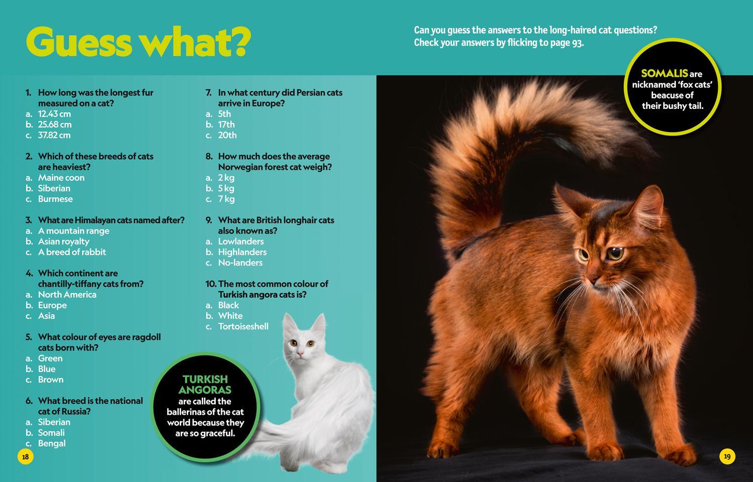 Bild: 9780008430481 | Puzzle Book Cats | National Geographic Kids | Taschenbuch | Englisch