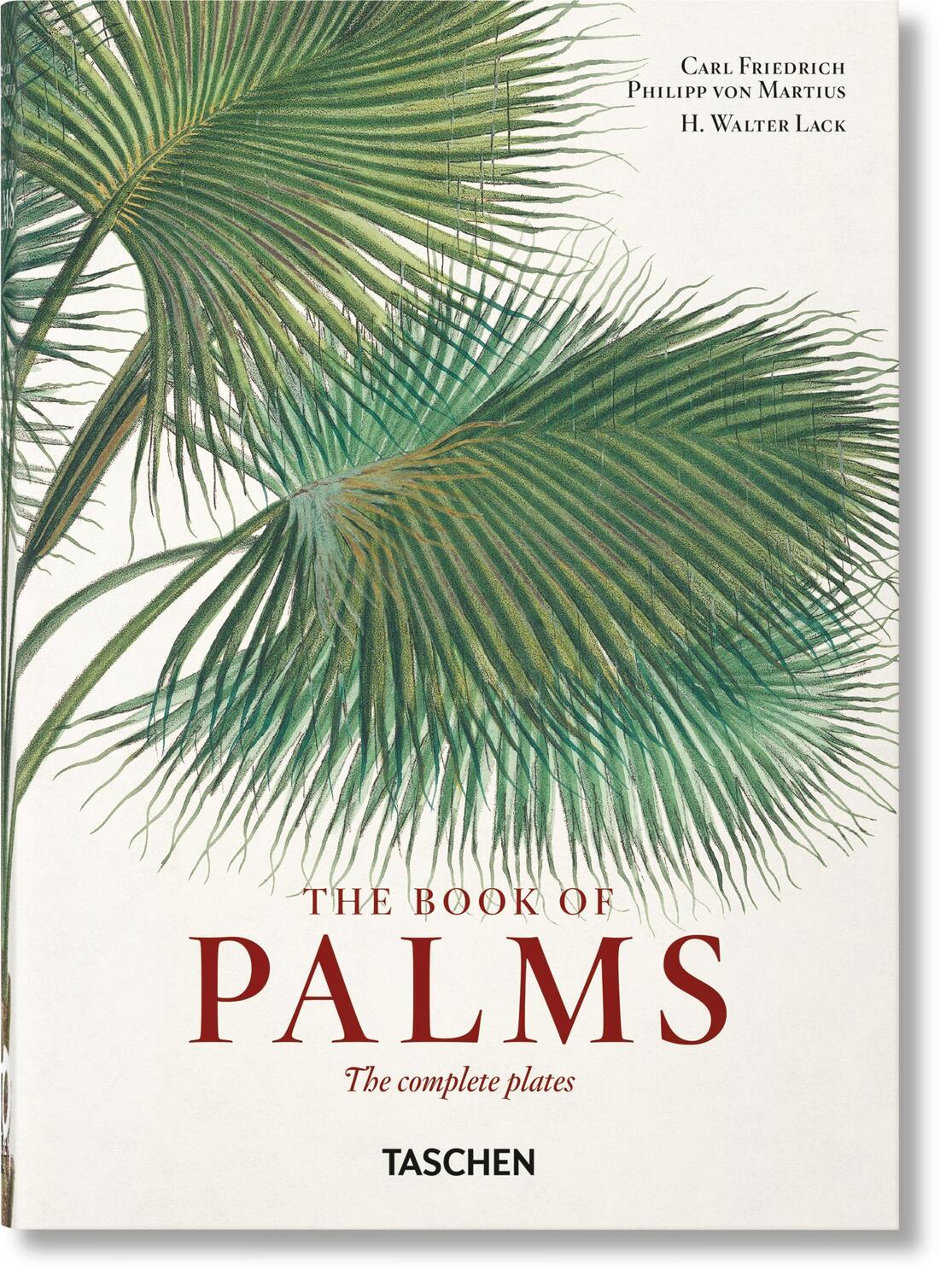 Cover: 9783836587815 | Martius. The Book of Palms | H. Walter Lack | Buch | GER, Hardcover