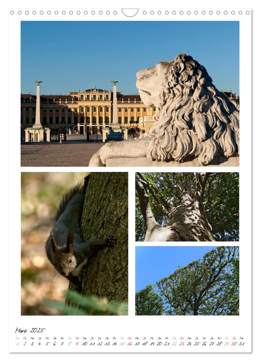 Bild: 9783457073438 | Schloss Schönbrunn im Wandel der Jahreszeiten (Wandkalender 2025...