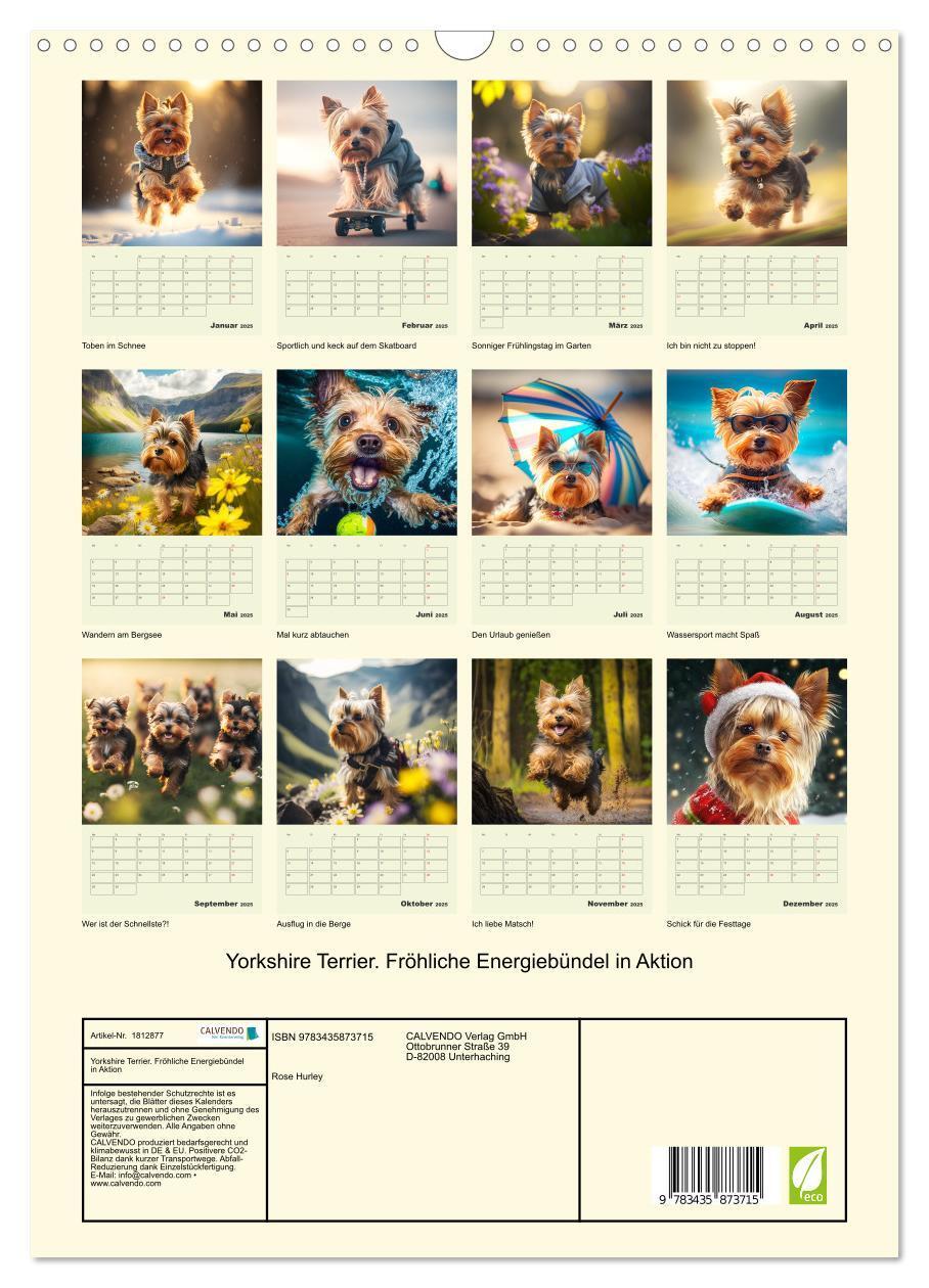 Bild: 9783435873715 | Yorkshire Terrier. Fröhliche Energiebündel in Aktion (Wandkalender...