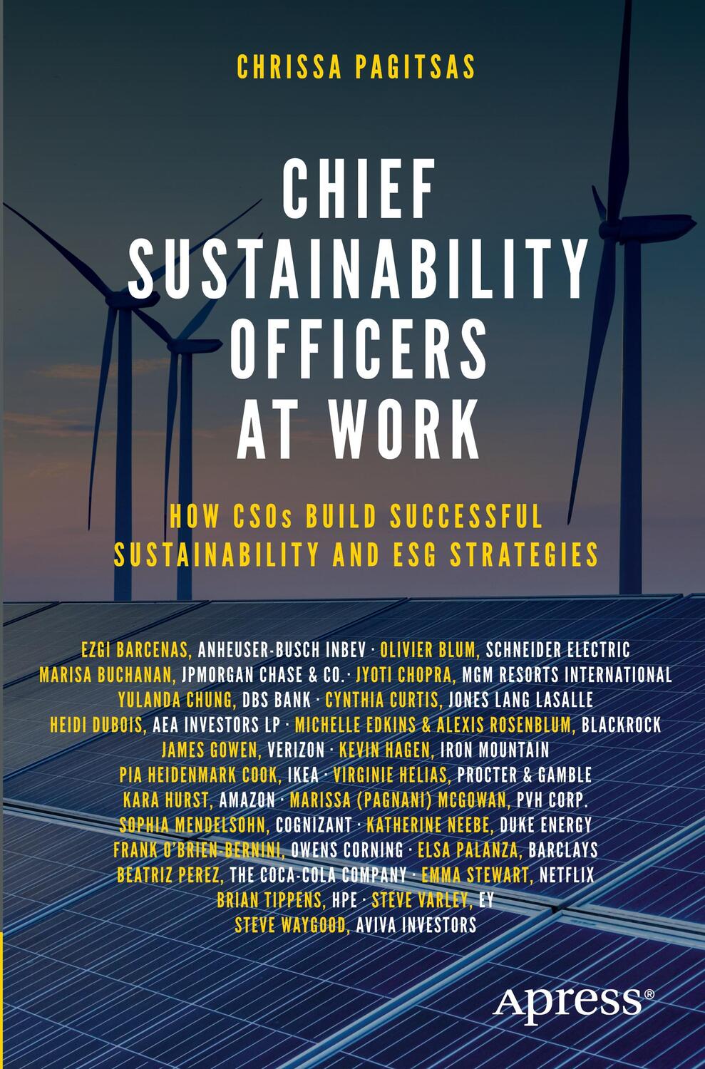 Cover: 9781484278659 | Chief Sustainability Officers At Work | Chrissa Pagitsas | Taschenbuch