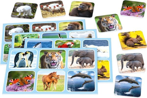 Bild: 4001504514334 | Zoo Lotto (Kinderspiel) | Spiel | In Metallbox | 2020 | Schmidt