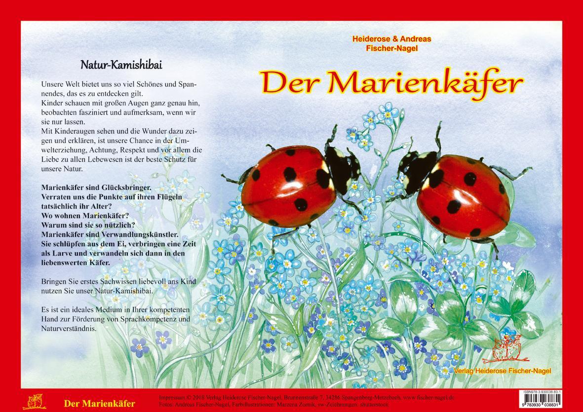 Cover: 9783930038831 | Natur-Kamishibai - Der Marienkäfere | Heiderose Fischer-Nagel (u. a.)