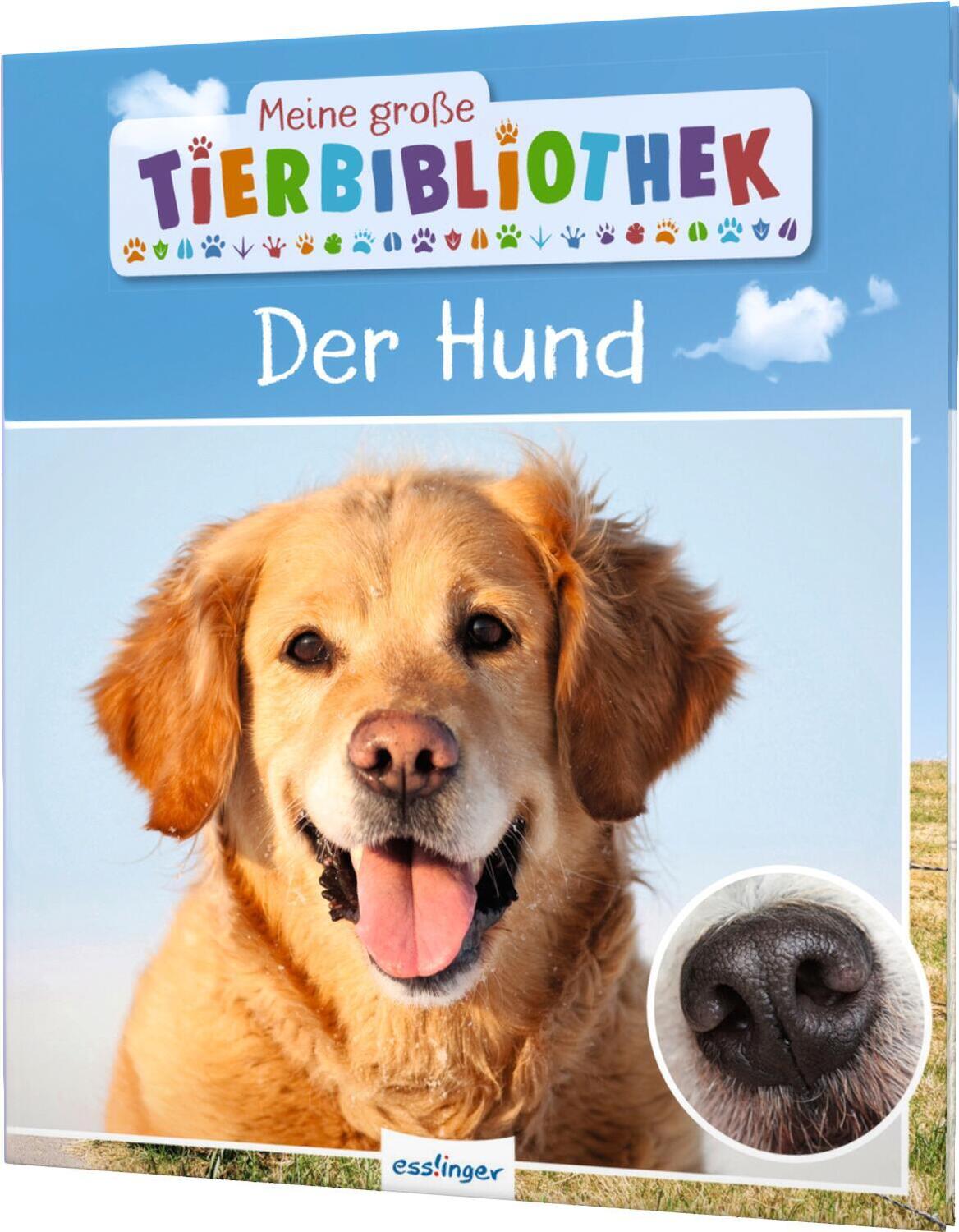 Cover: 9783480236268 | Meine große Tierbibliothek: Der Hund | Valérie Tracqui | Buch | 32 S.
