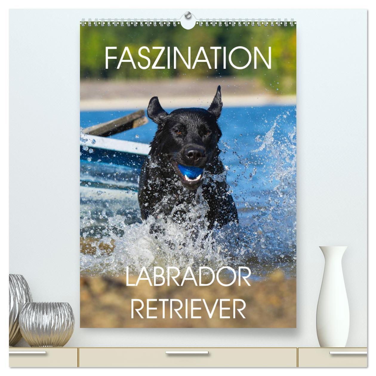 Cover: 9783383427053 | Faszination Labrador Retriever (hochwertiger Premium Wandkalender...