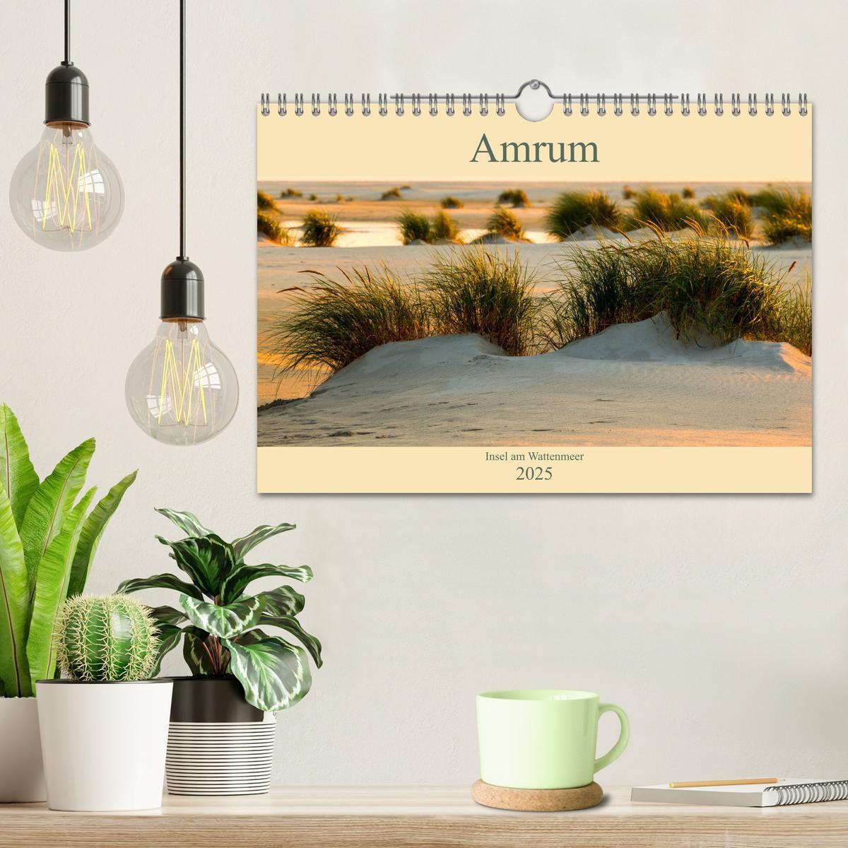 Bild: 9783435271870 | Amrum Insel am Wattenmeer (Wandkalender 2025 DIN A4 quer), CALVENDO...