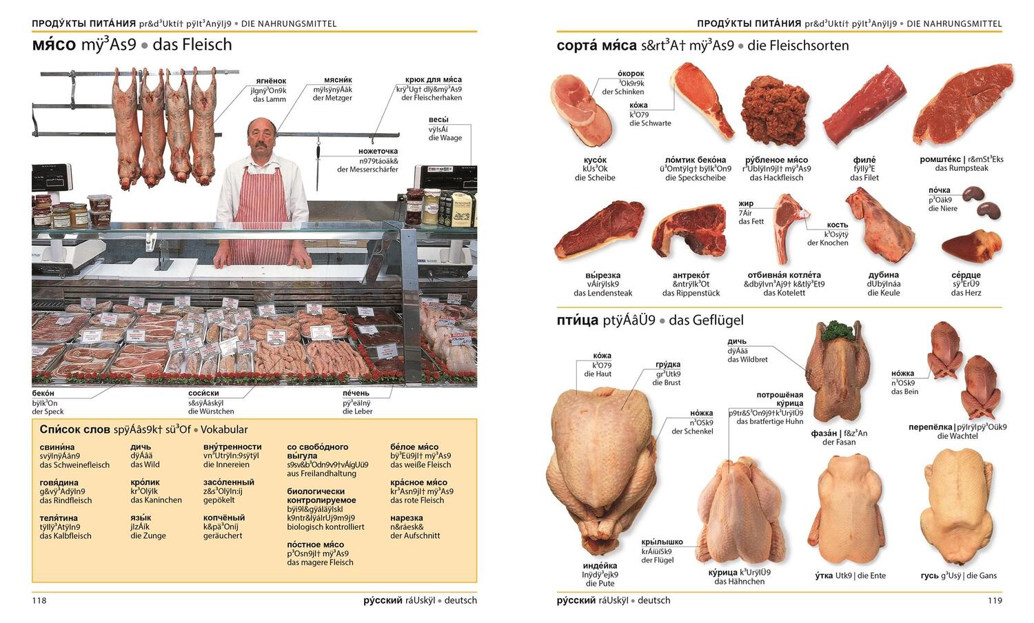 Bild: 9783831029808 | Visuelles Wörterbuch Russisch Deutsch | Taschenbuch | 392 S. | Deutsch