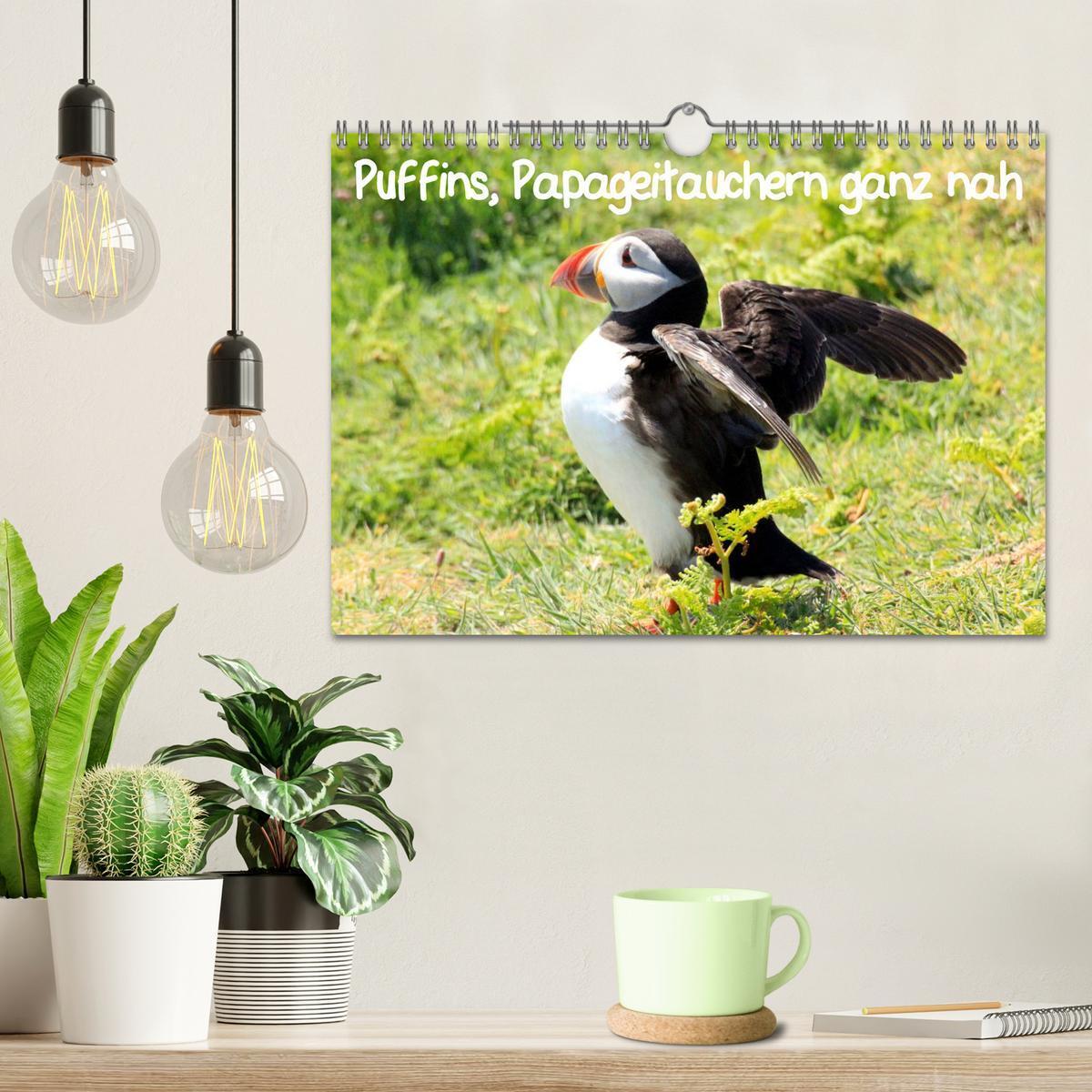 Bild: 9783435808038 | Puffins, Papageitauchern ganz nah (Wandkalender 2025 DIN A4 quer),...