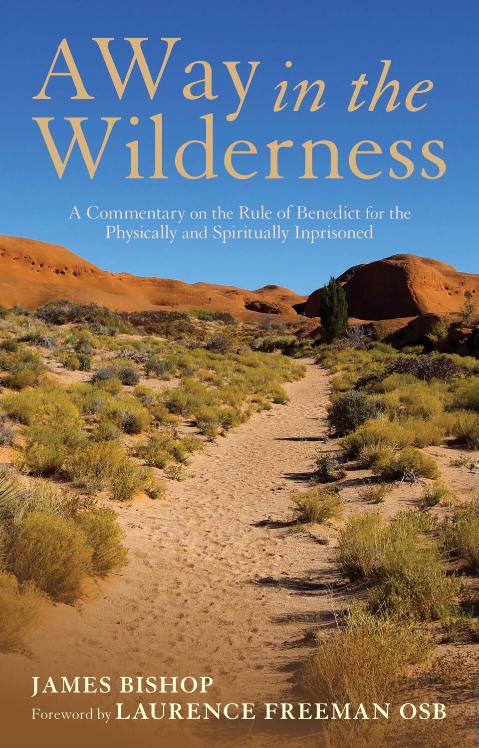 Cover: 9781441151155 | A Way in the Wilderness | James Bishop | Taschenbuch | Englisch | 2012