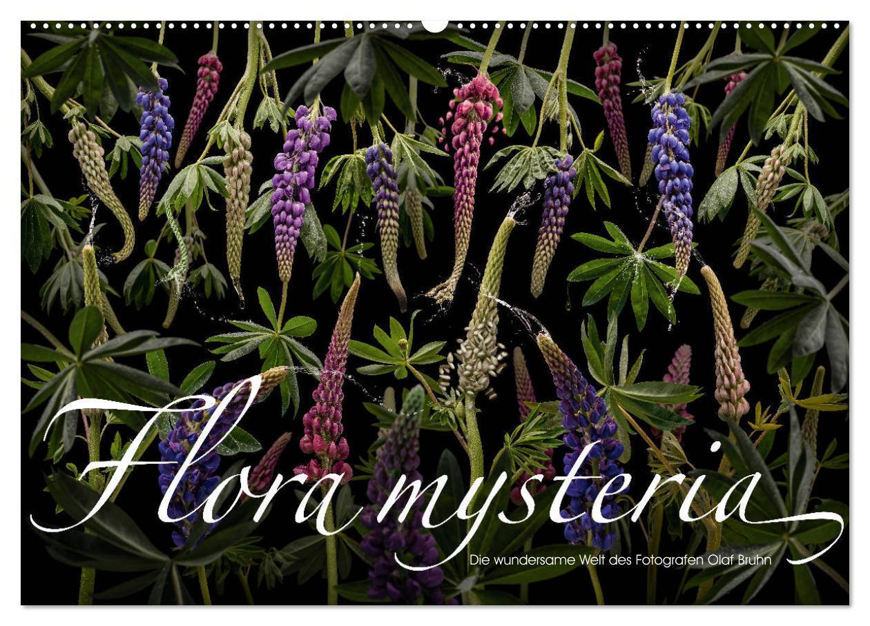 Cover: 9783675845626 | Flora mysteria - Die wundersame Welt des Fotografen Olaf Bruhn...