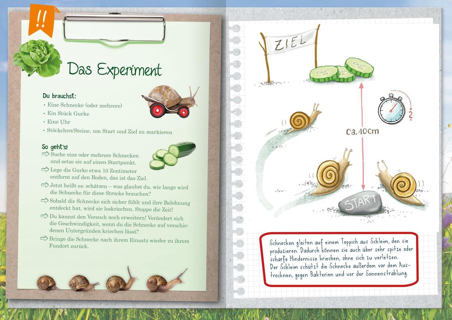 Bild: 9783845855400 | Naturforscher-Kids - Mein erstes Naturforscher-Buch | Eva Eich | Buch