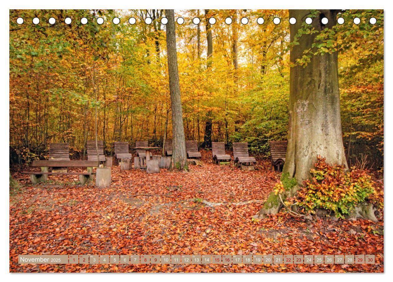 Bild: 9783383773266 | Der Wald - Ort der Ruhe und Besinnung (Tischkalender 2025 DIN A5...