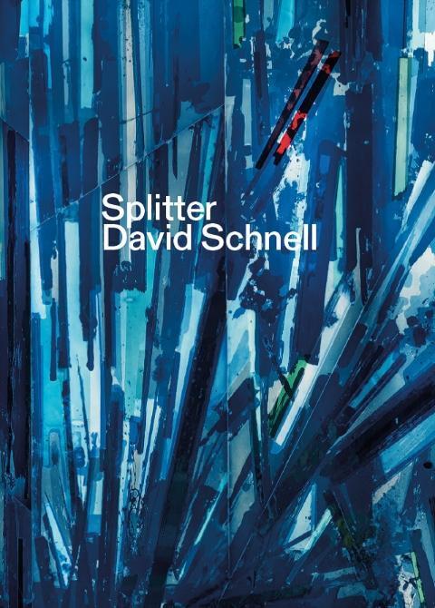 Cover: 9783865024220 | Splitter. David Schnell | Taschenbuch | 128 S. | Deutsch | 2019