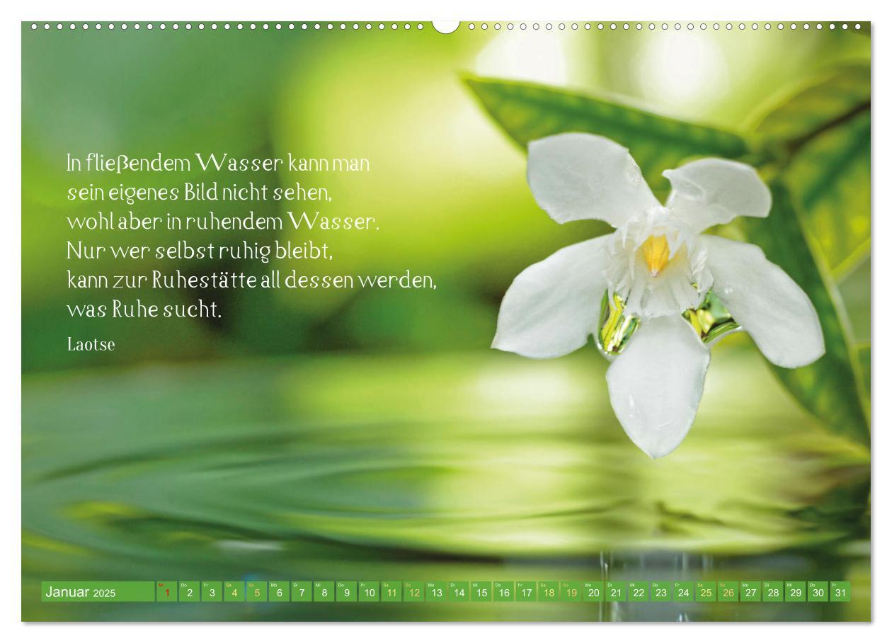 Bild: 9783383885624 | Natur-Meditationen - Nimm Dir Zeit (Wandkalender 2025 DIN A2 quer),...