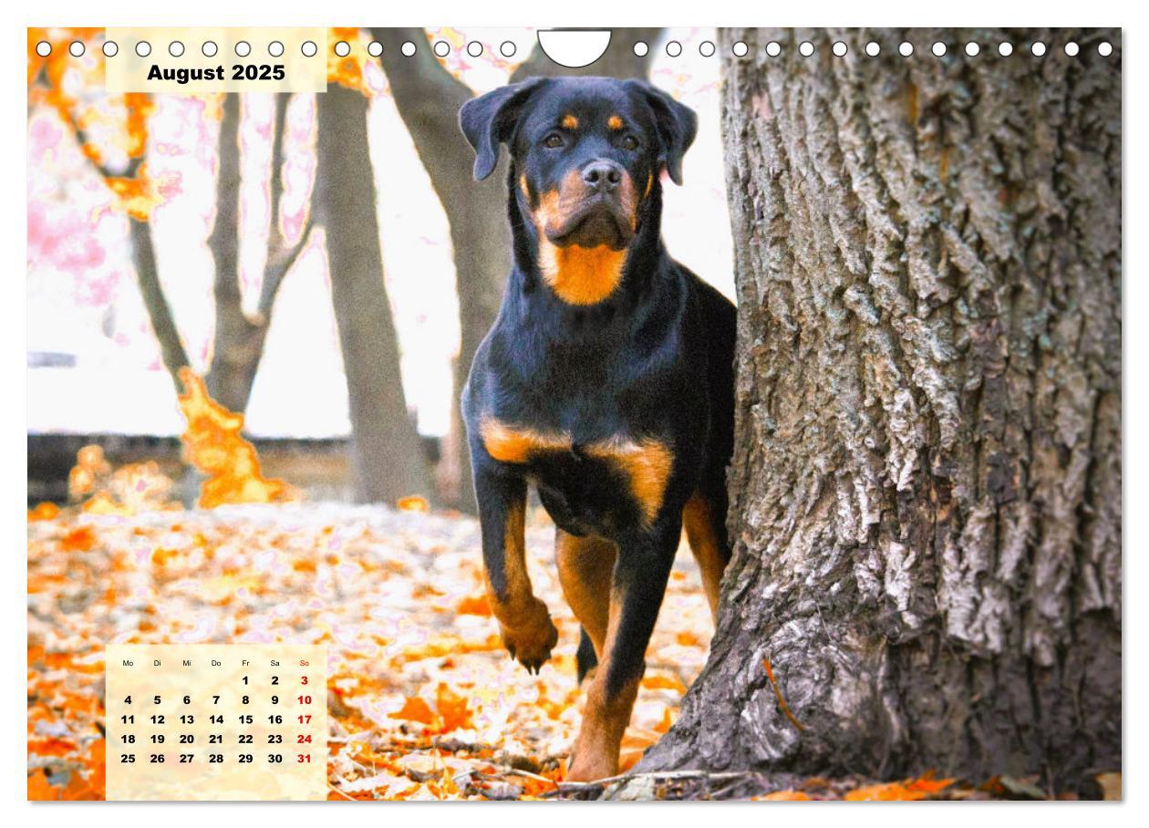 Bild: 9783383948480 | Mein Rottweiler. Nervenstarker Gebrauchs- und Begleithund...