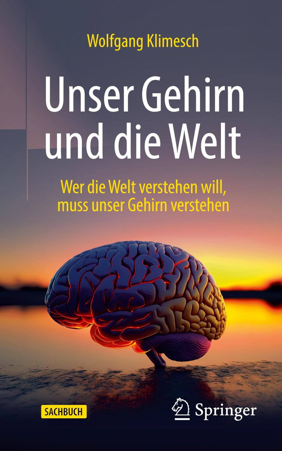 Cover: 9783662676349 | Unser Gehirn und die Welt | Wolfgang Klimesch | Taschenbuch | xiii