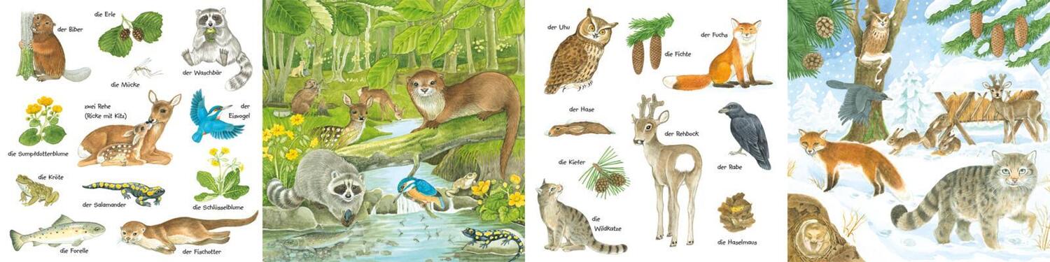 Bild: 9783551173027 | Mein kleines buntes Bildwörterbuch: Im Wald | Christine Henkel | Buch